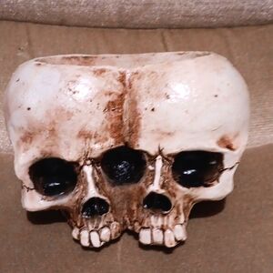 Mini Skull Plant Holder for plants